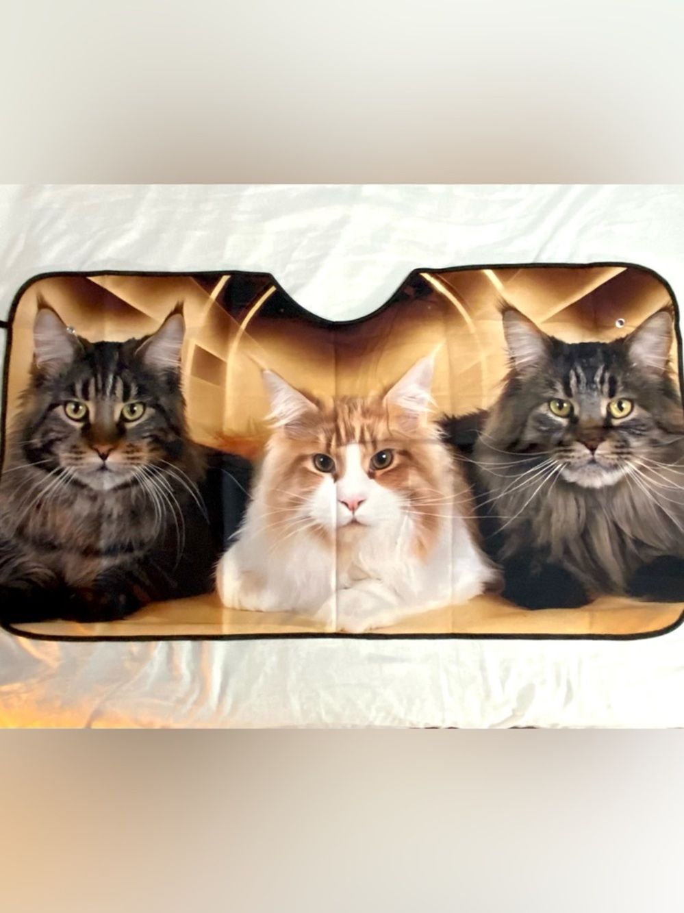 Cat Windshield Sunshade Let’s Three Pretty Kitties Look Large & Regal in the Car